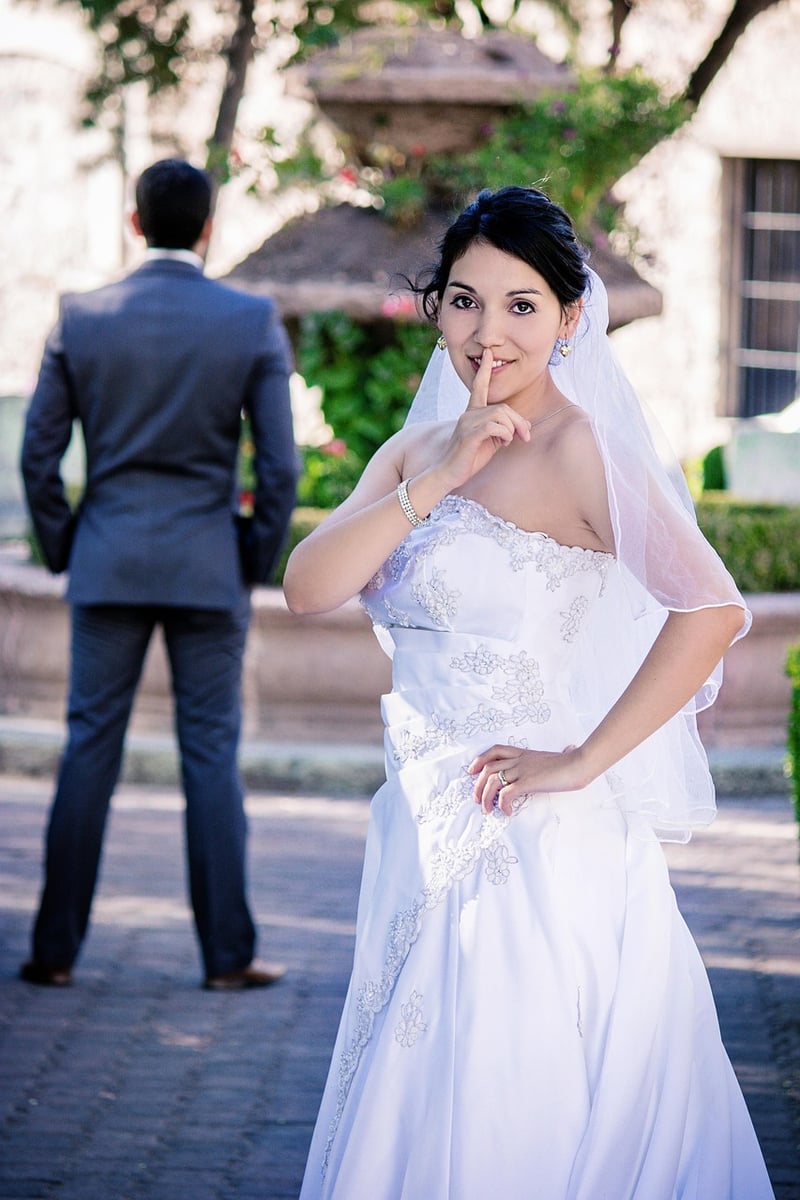Fairy Tale Dress 2